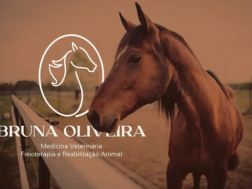 Branding Bruna Oliveira – Medicina Veterinária